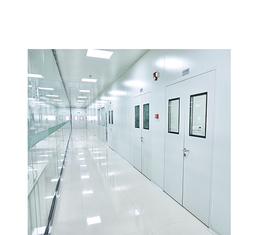 Steel Cleanroom Door